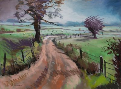 THE FARM ROAD by Christopher A.J. Stones  at Dolan's Art Auction House